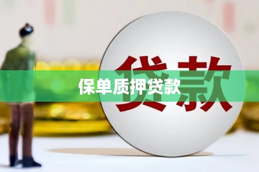 徐水保单质押贷款