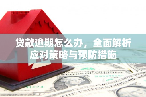 徐水贷款逾期怎么办，全面解析应对策略与预防措施