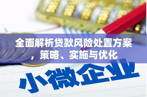 徐水全面解析贷款风险处置方案，策略、实施与优化