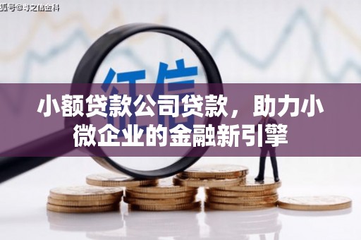 徐水小额贷款公司贷款，助力小微企业的金融新引擎