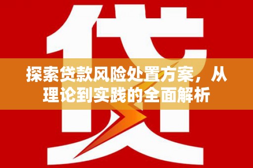 徐水探索贷款风险处置方案，从理论到实践的全面解析
