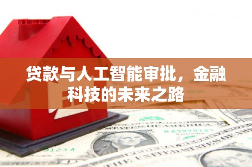 徐水贷款与人工智能审批，金融科技的未来之路