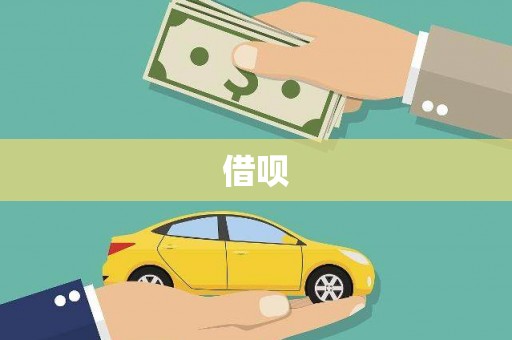 徐水借呗