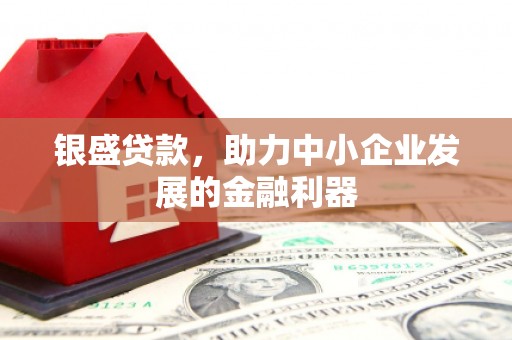 徐水银盛贷款，助力中小企业发展的金融利器
