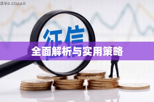 徐水全面解析与实用策略