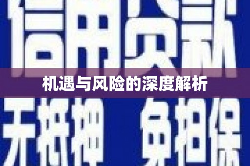 徐水机遇与风险的深度解析