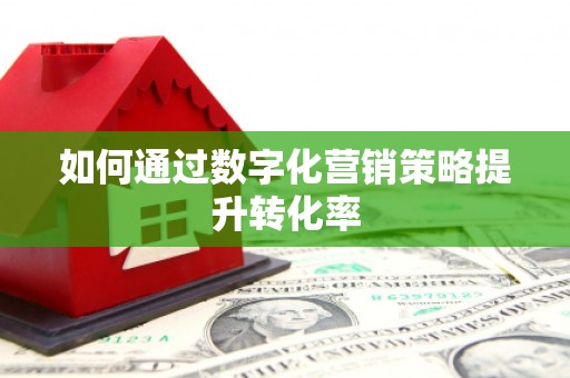 徐水如何通过数字化营销策略提升转化率