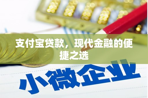 徐水支付宝贷款，现代金融的便捷之选
