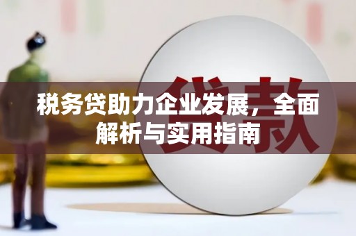 徐水税务贷助力企业发展，全面解析与实用指南