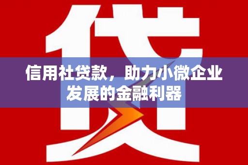 徐水信用社贷款，助力小微企业发展的金融利器