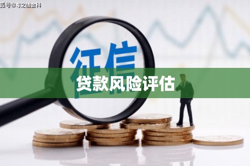 徐水贷款风险评估