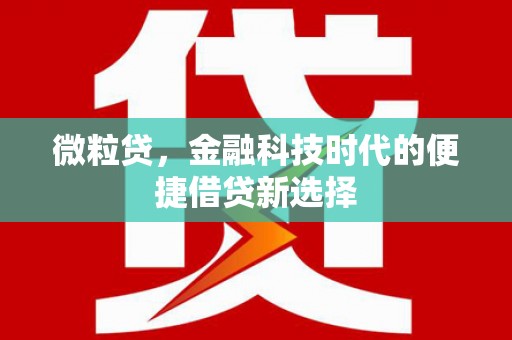 徐水微粒贷，金融科技时代的便捷借贷新选择