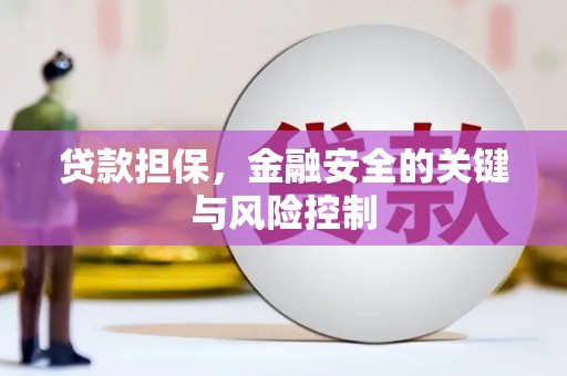 徐水贷款担保，金融安全的关键与风险控制