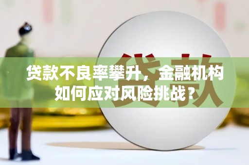 徐水贷款不良率攀升，金融机构如何应对风险挑战？
