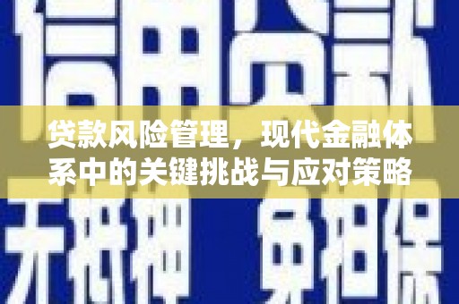 徐水贷款风险管理，现代金融体系中的关键挑战与应对策略