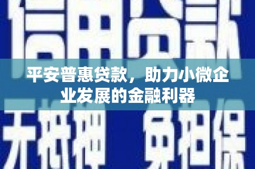 徐水平安普惠贷款，助力小微企业发展的金融利器