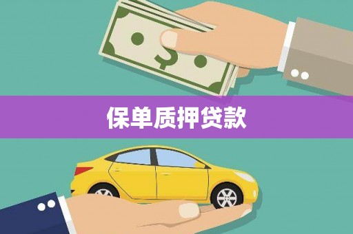徐水保单质押贷款