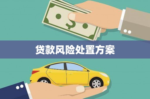 徐水贷款风险处置方案