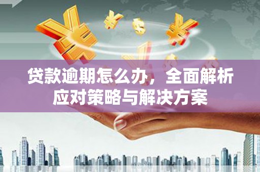 徐水贷款逾期怎么办，全面解析应对策略与解决方案