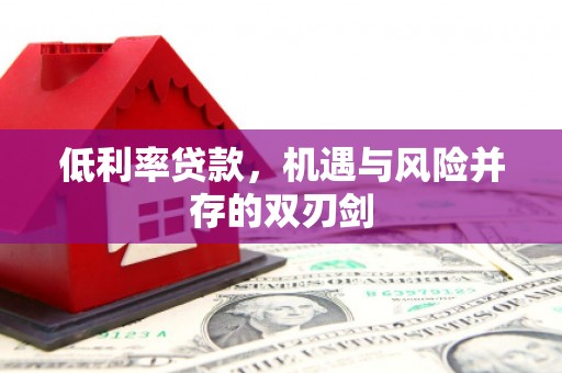徐水低利率贷款，机遇与风险并存的双刃剑
