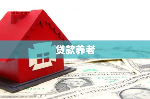 徐水贷款养老