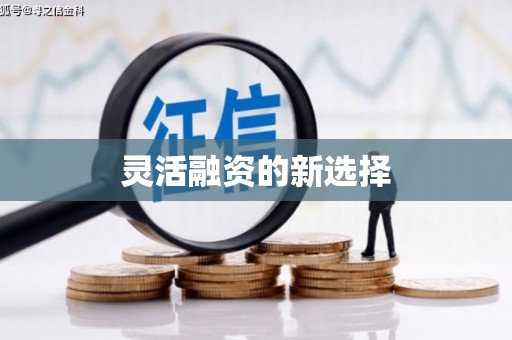 徐水灵活融资的新选择