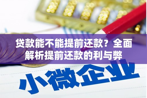 徐水贷款能不能提前还款？全面解析提前还款的利与弊