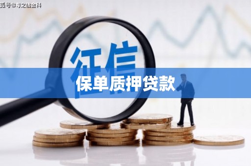 徐水保单质押贷款