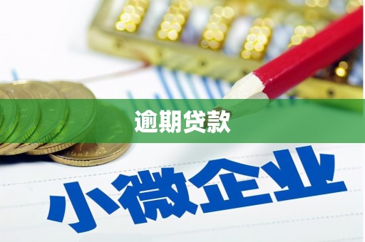 徐水逾期贷款