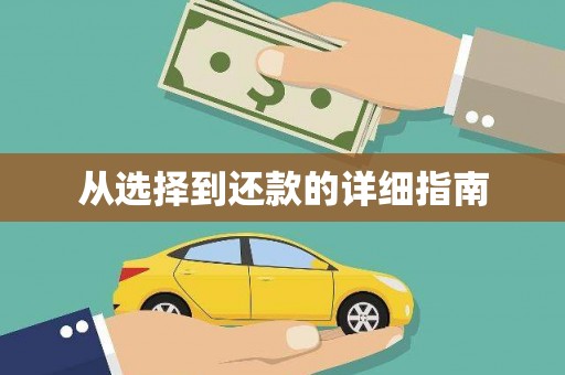 徐水从选择到还款的详细指南