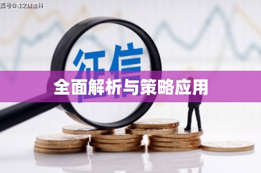 徐水全面解析与策略应用