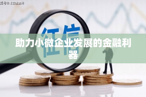 徐水助力小微企业发展的金融利器