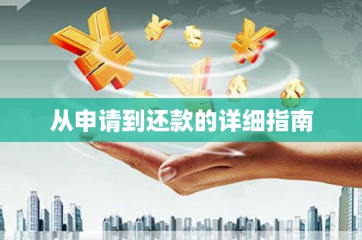 徐水从申请到还款的详细指南