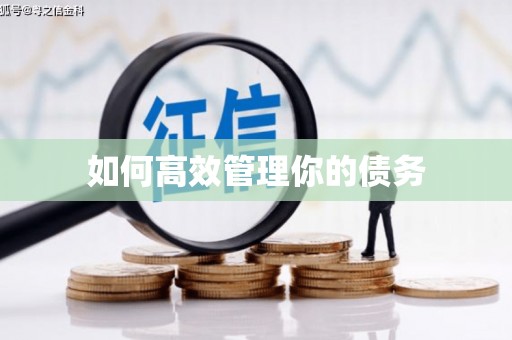 徐水如何高效管理你的债务