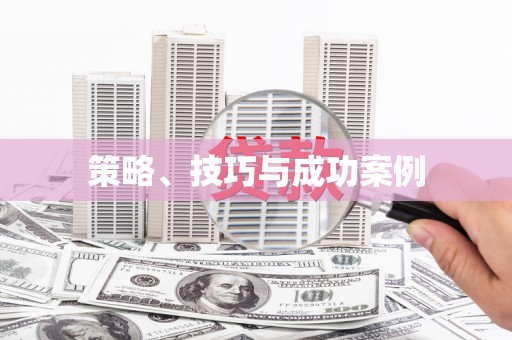 徐水策略、技巧与成功案例