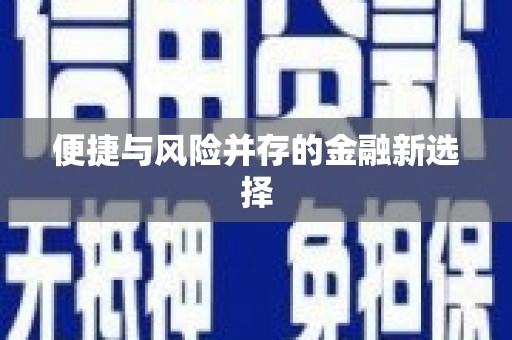 徐水便捷与风险并存的金融新选择