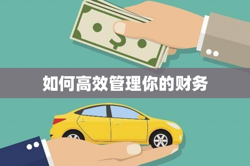 徐水如何高效管理你的财务