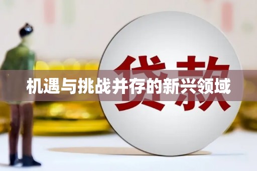 徐水机遇与挑战并存的新兴领域