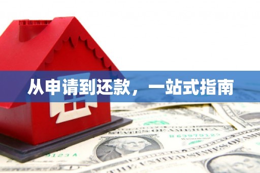 徐水从申请到还款，一站式指南