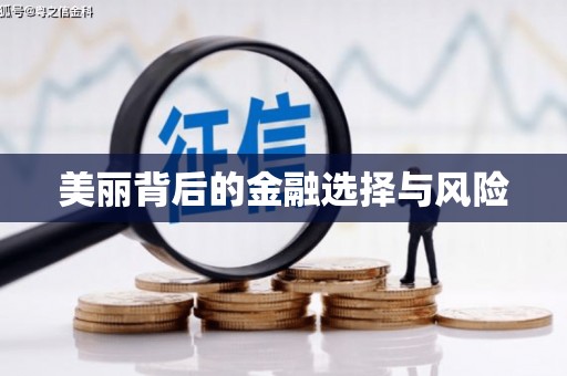 徐水美丽背后的金融选择与风险