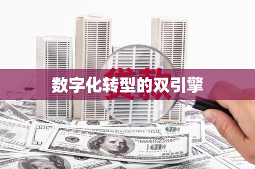 徐水数字化转型的双引擎
