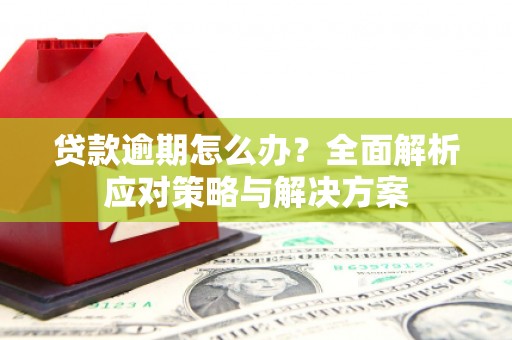 徐水贷款逾期怎么办？全面解析应对策略与解决方案