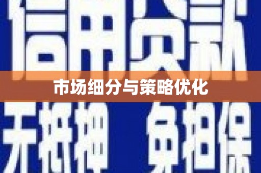 徐水市场细分与策略优化