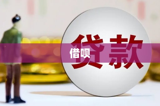 徐水借呗