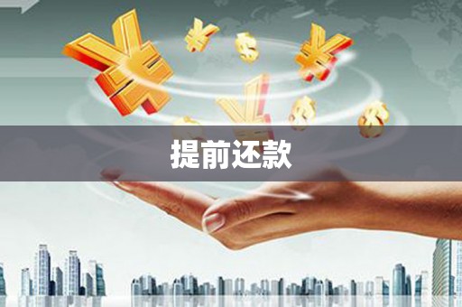 徐水提前还款