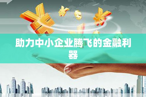 徐水助力中小企业腾飞的金融利器