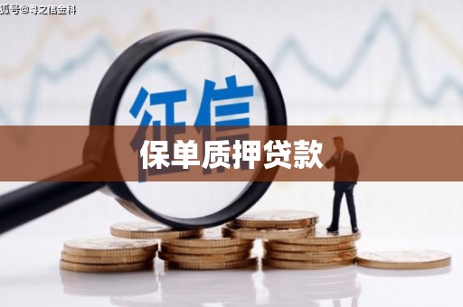 徐水保单质押贷款