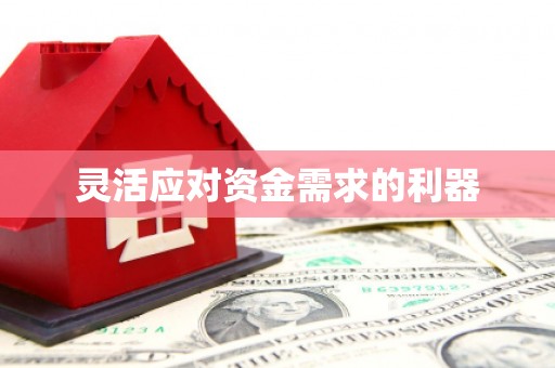 徐水灵活应对资金需求的利器