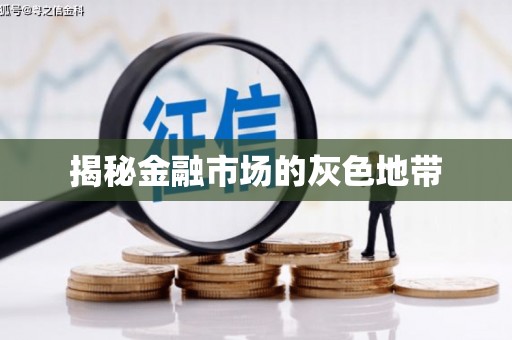 徐水揭秘金融市场的灰色地带