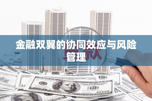徐水金融双翼的协同效应与风险管理
